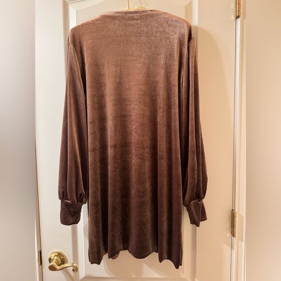 NWOT Zara Collection Brown Velvet Straight Dress - Picture 3 of 8